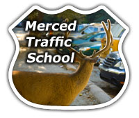 Get Your Merced Traffic Tickets Dismissed with Ease!
